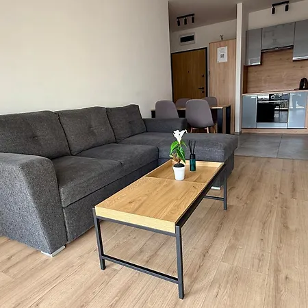 Mike - Free Parking Self Check-in Apartment Gizycko