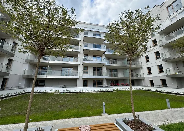 Mike - Free Parking Self Check-in